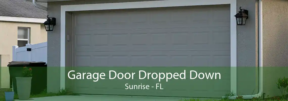 Garage Door Dropped Down Sunrise - FL