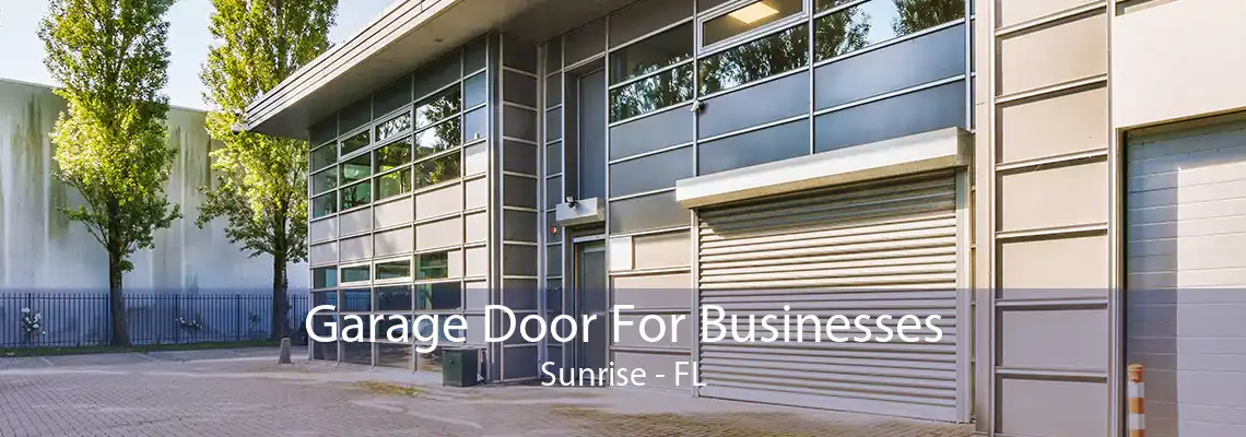 Garage Door For Businesses Sunrise - FL