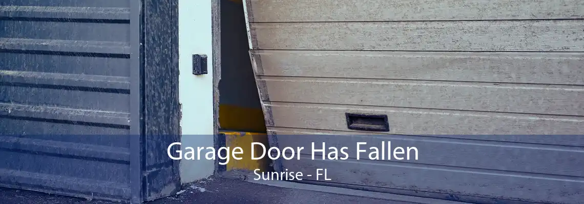 Garage Door Has Fallen Sunrise - FL