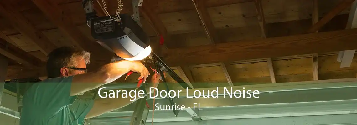 Garage Door Loud Noise Sunrise - FL