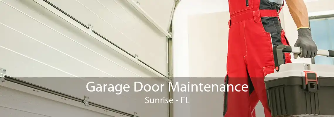 Garage Door Maintenance Sunrise - FL