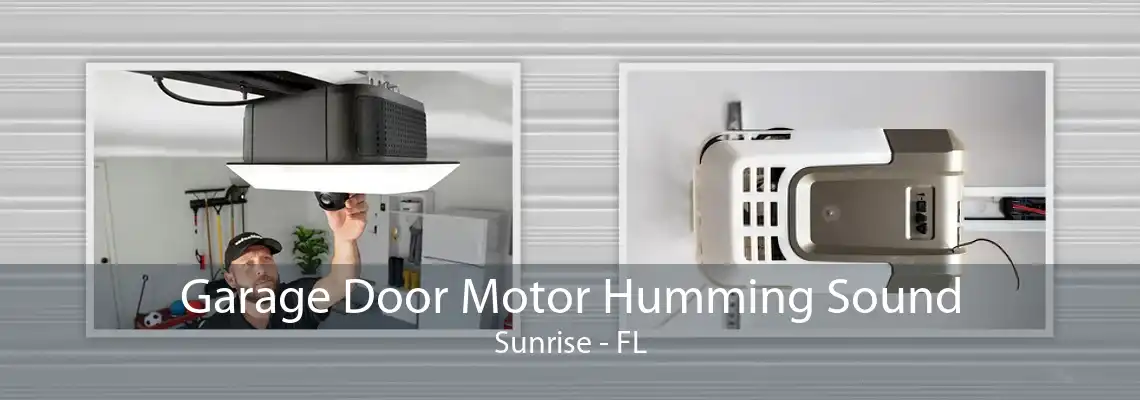 Garage Door Motor Humming Sound Sunrise - FL