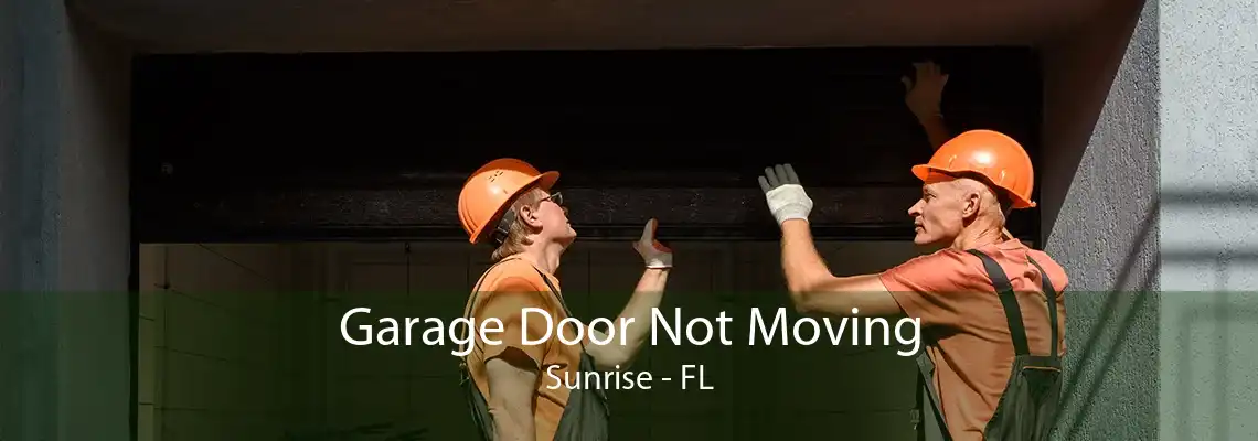 Garage Door Not Moving Sunrise - FL