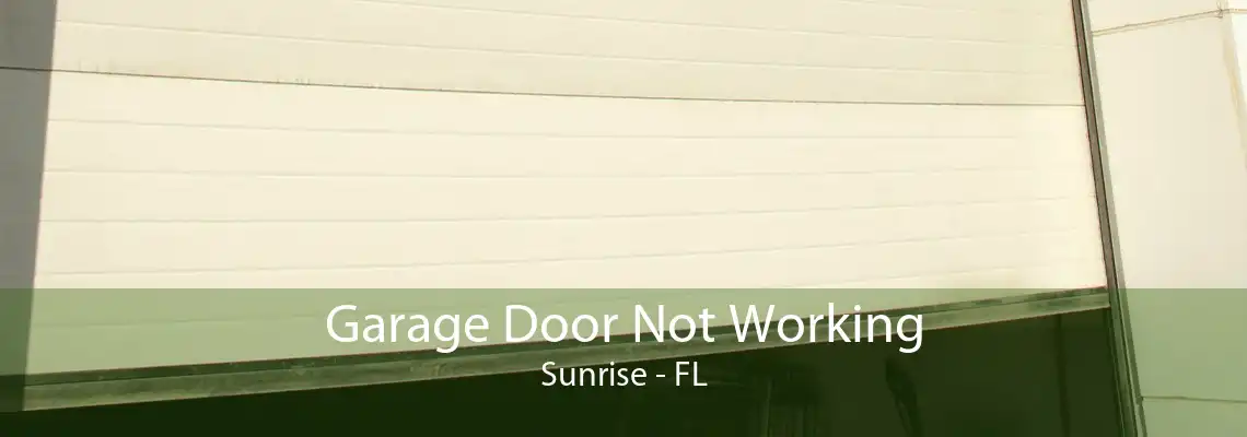 Garage Door Not Working Sunrise - FL