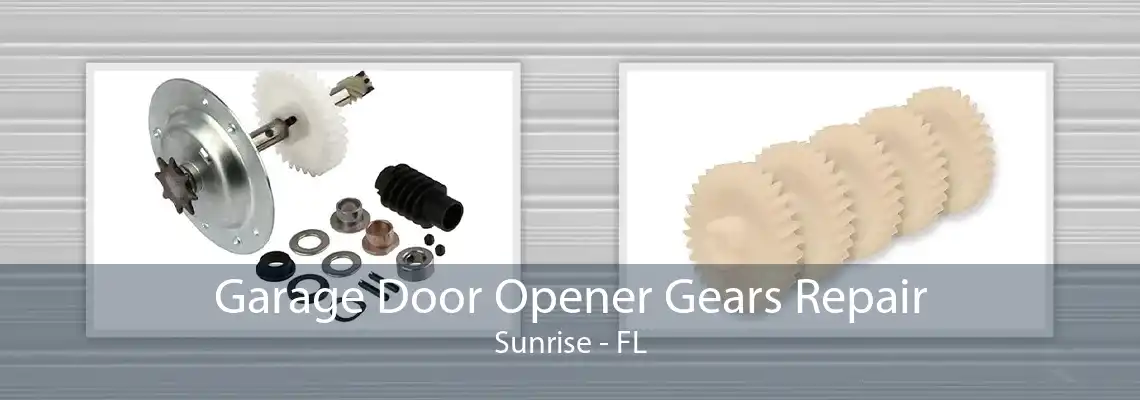 Garage Door Opener Gears Repair Sunrise - FL