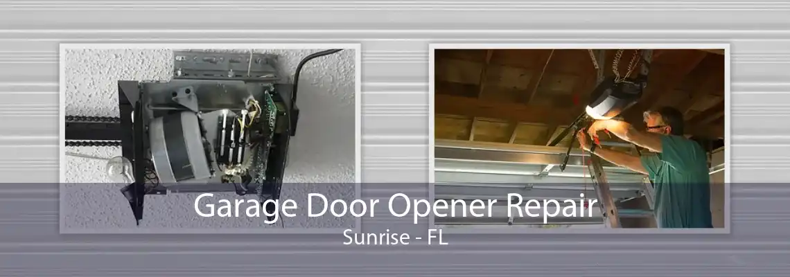 Garage Door Opener Repair Sunrise - FL