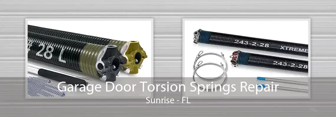 Garage Door Torsion Springs Repair Sunrise - FL