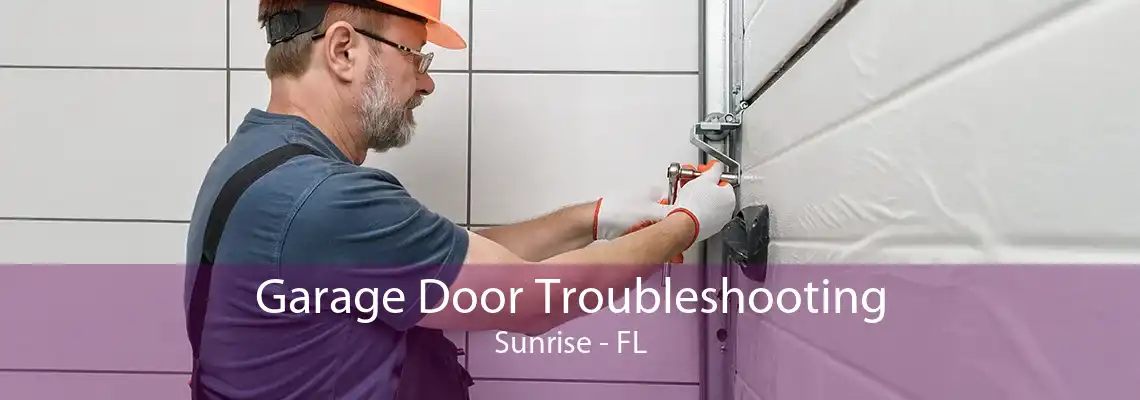 Garage Door Troubleshooting Sunrise - FL