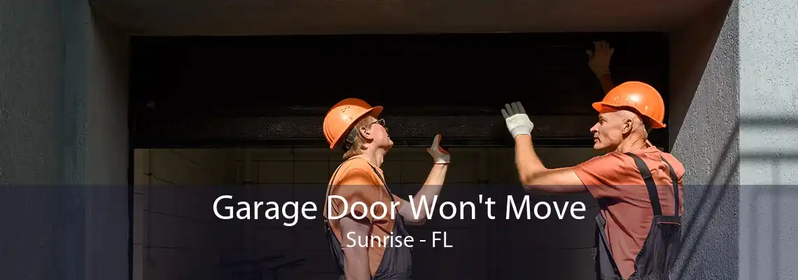 Garage Door Won't Move Sunrise - FL